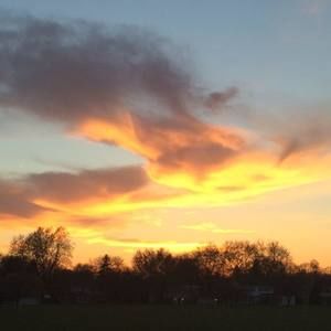 Meet your Posher, Andrew